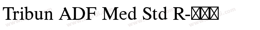 Tribun ADF Med Std R字体转换 Tribun ADF Med Std R字体转换
